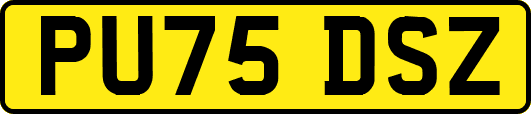 PU75DSZ