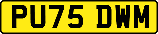 PU75DWM