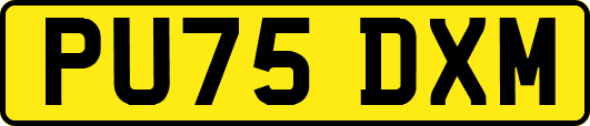 PU75DXM