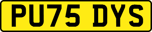 PU75DYS
