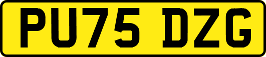 PU75DZG