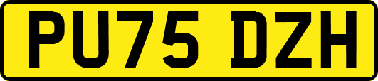 PU75DZH