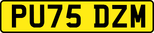 PU75DZM