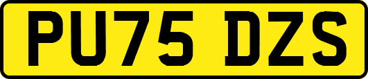 PU75DZS