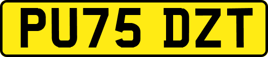 PU75DZT