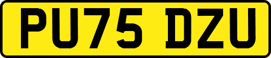 PU75DZU