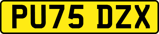 PU75DZX