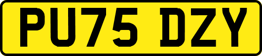 PU75DZY