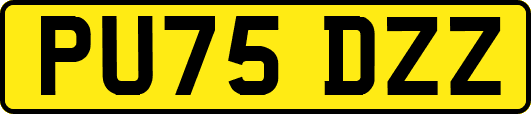 PU75DZZ