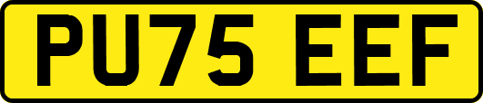 PU75EEF