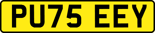 PU75EEY