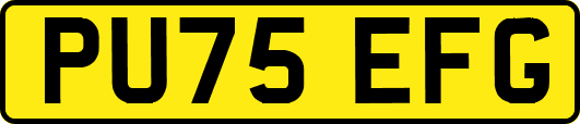 PU75EFG