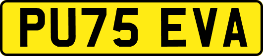 PU75EVA
