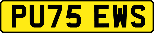 PU75EWS