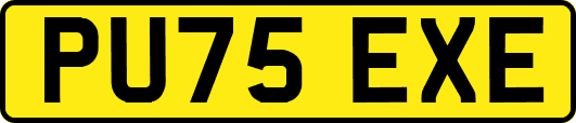 PU75EXE