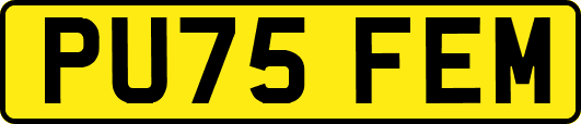PU75FEM