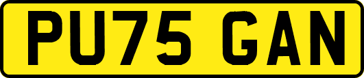 PU75GAN