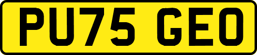 PU75GEO