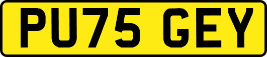 PU75GEY