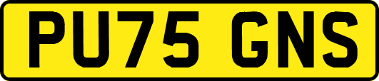 PU75GNS