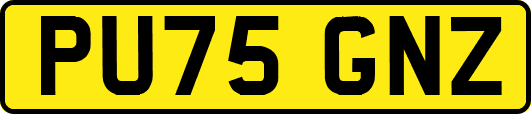 PU75GNZ