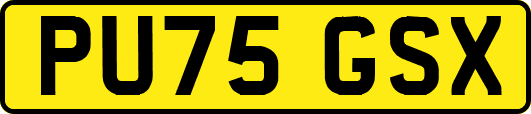 PU75GSX