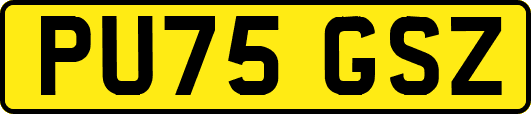 PU75GSZ
