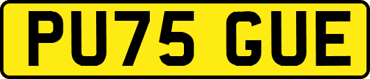 PU75GUE