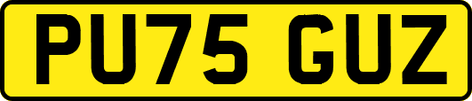 PU75GUZ