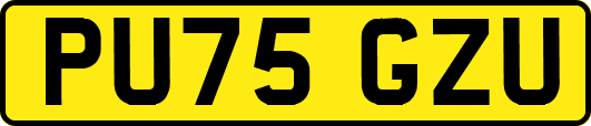 PU75GZU
