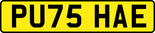 PU75HAE