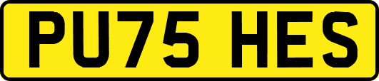 PU75HES