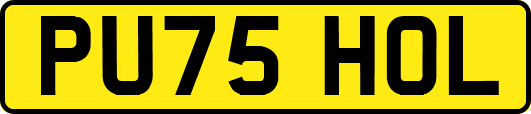 PU75HOL
