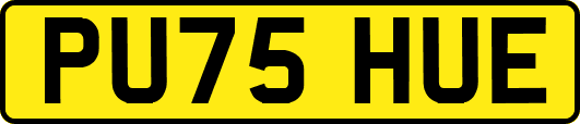 PU75HUE