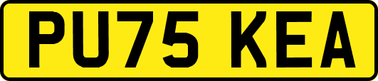 PU75KEA