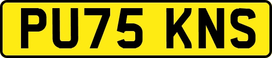 PU75KNS