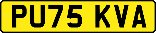 PU75KVA
