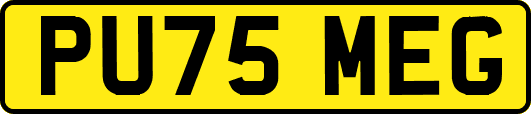 PU75MEG