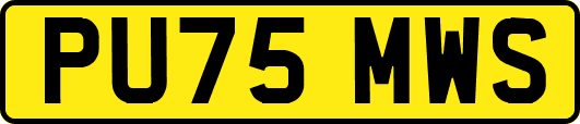 PU75MWS
