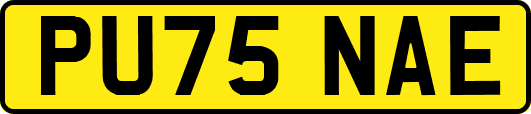 PU75NAE