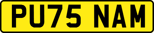 PU75NAM