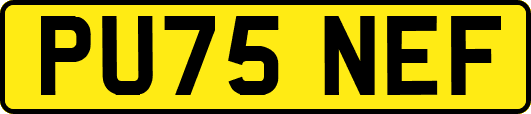 PU75NEF