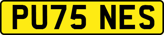 PU75NES