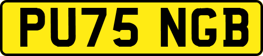 PU75NGB