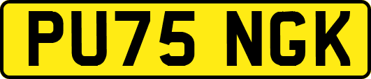 PU75NGK