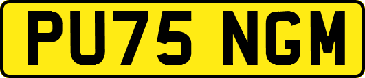 PU75NGM