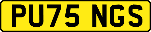 PU75NGS