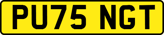 PU75NGT