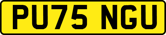PU75NGU