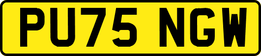 PU75NGW